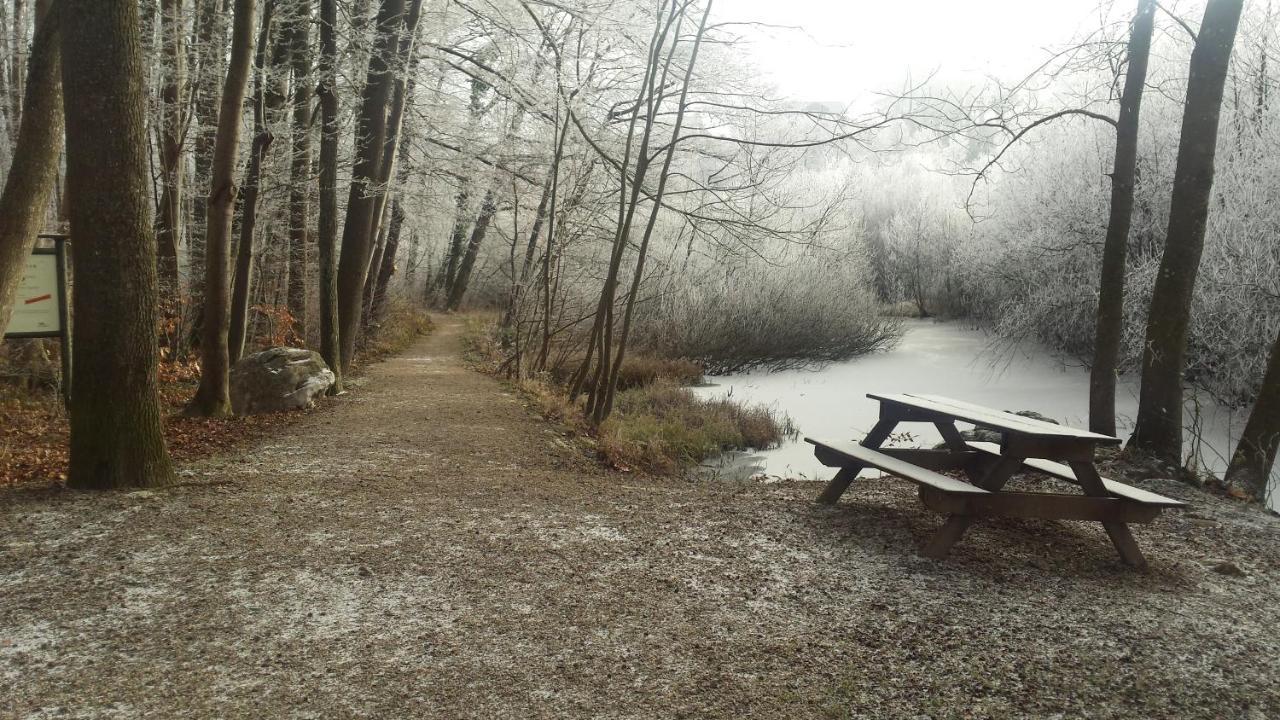 Ferienwohnung Krottensee Gmunden Exteriör bild