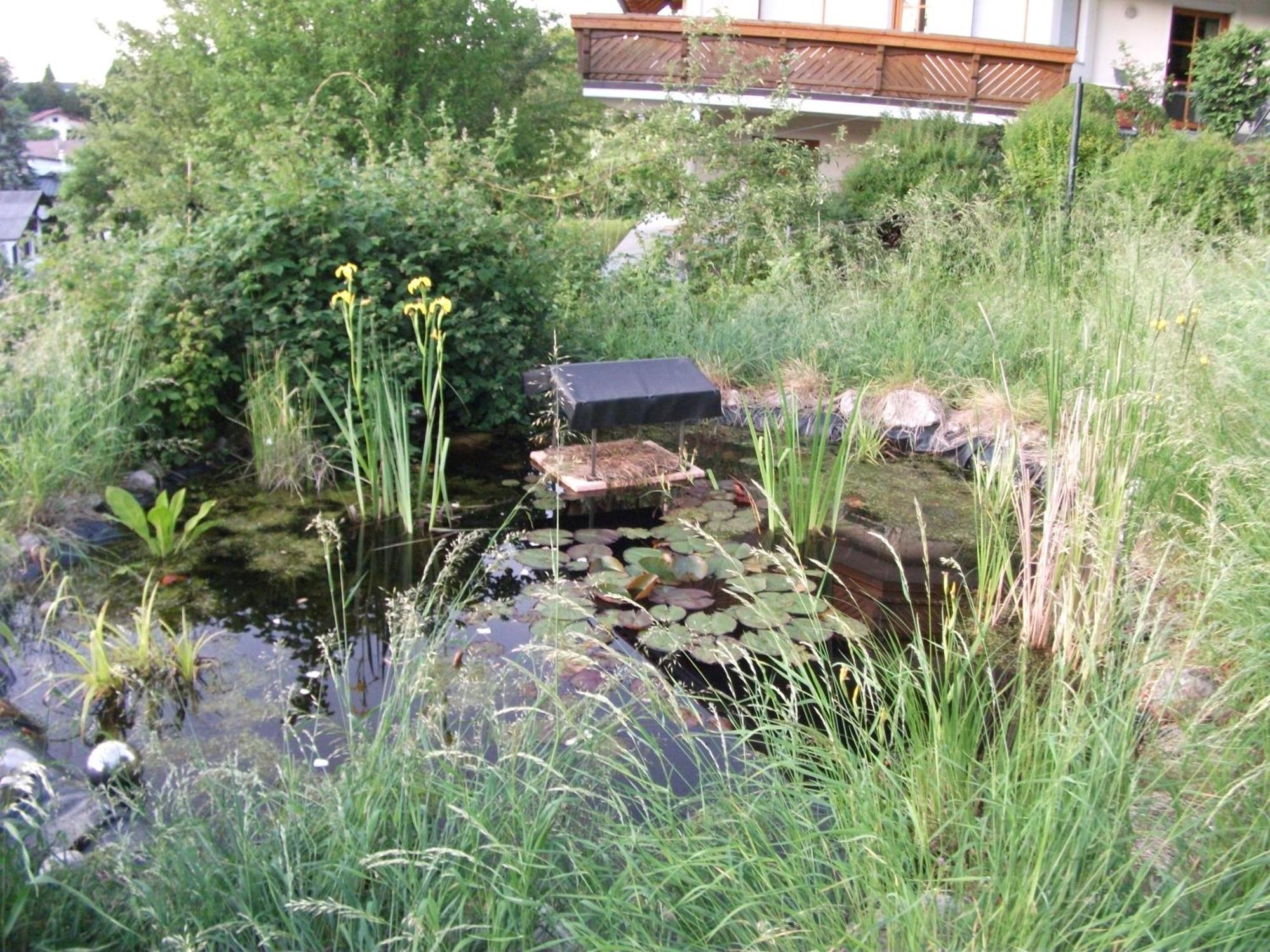 Ferienwohnung Krottensee Gmunden Exteriör bild